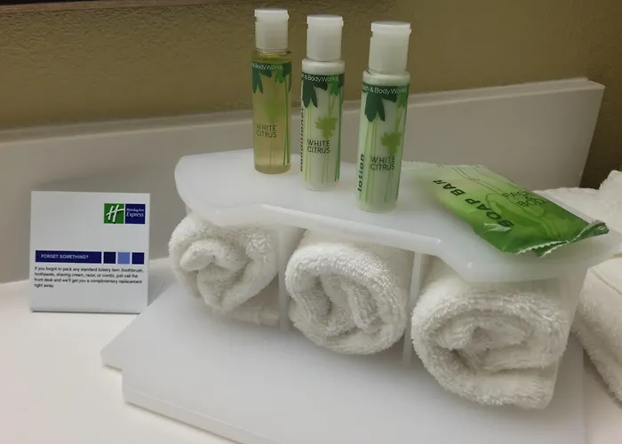 Express Chicago Nw - By Ihg Hotel 3*