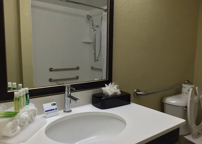 Express Chicago Nw - By Ihg 3* Arlington Heights